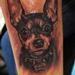 Tattoos - Portrait tattoo Muecke dog snoop dogg ink  - 89048